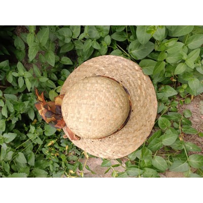 Dámský kšilt zdobený stuhou